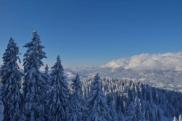 Paysage d'hiver montagne — Photo