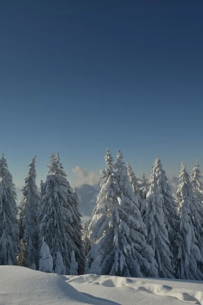 Winterlandschaft im Gebirge — Stockfoto