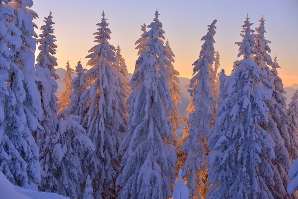 Ορεινό τοπίο του χειμώνα — Φωτογραφία Αρχείου