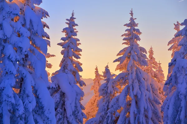 Montanha paisagem inverno — Fotografia de Stock