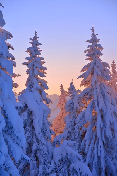 Horská Zimní krajina — Stock fotografie