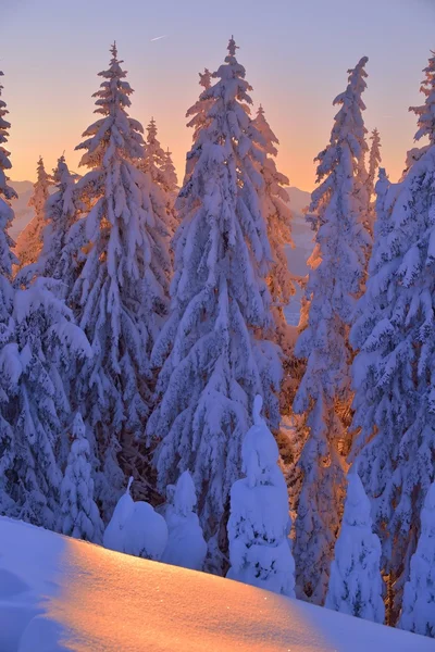 Montaña invierno paisaje —  Fotos de Stock