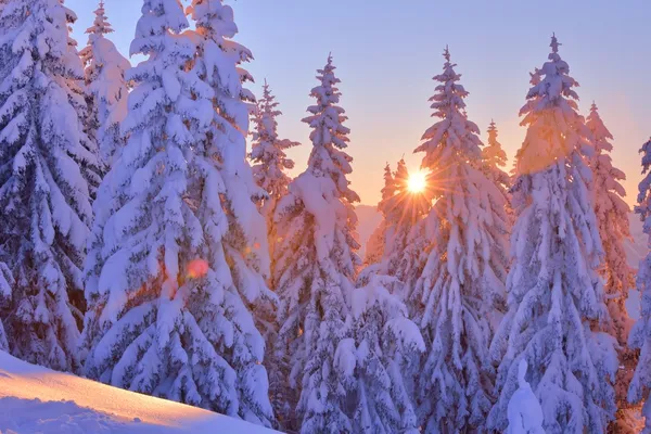 Montagna paesaggio invernale — Foto stock gratuita