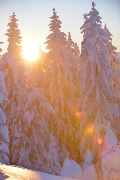 Montagna paesaggio invernale — Foto Stock