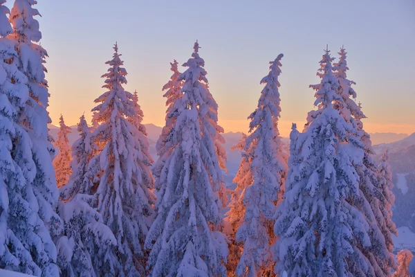 Гора зимовий пейзаж — стокове фото