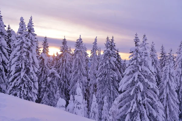 Montagna paesaggio invernale — Foto Stock