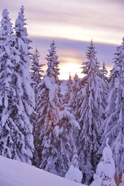 산 겨울 풍경 — 스톡 사진
