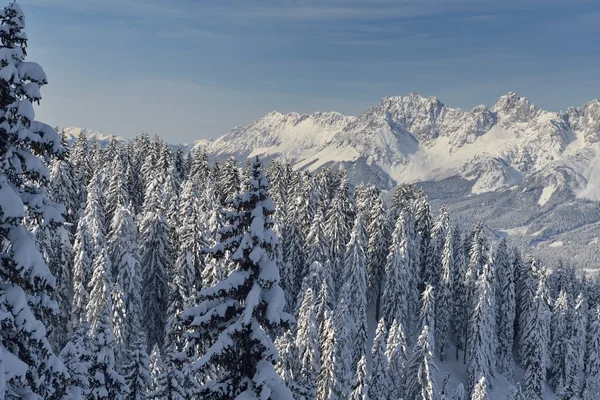 Paysage d'hiver montagne — Photo