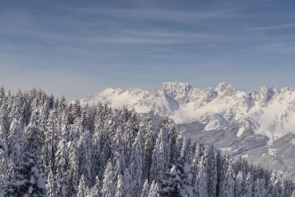 Winterlandschaft im Gebirge — Stockfoto