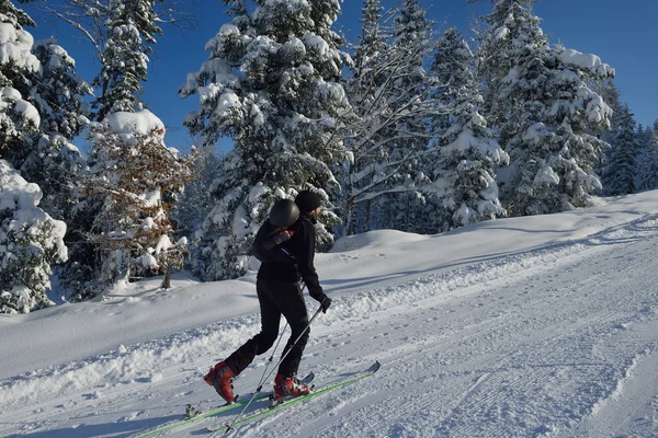 Zimowe zabawy i narciarskich — Zdjęcie stockowe