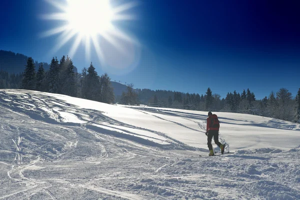 冬天的乐趣和滑雪 — 图库照片