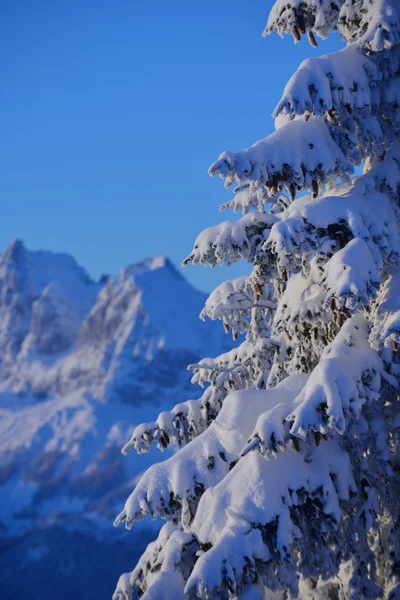 Montanha paisagem inverno — Fotografia de Stock