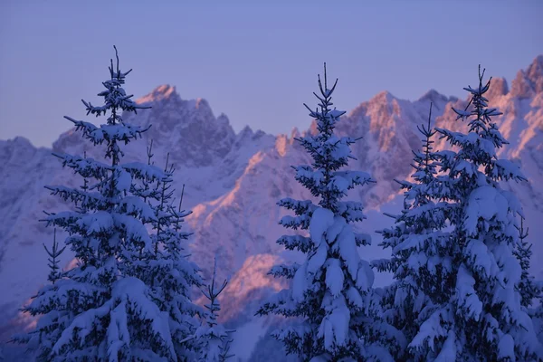 Ορεινό τοπίο του χειμώνα — Φωτογραφία Αρχείου