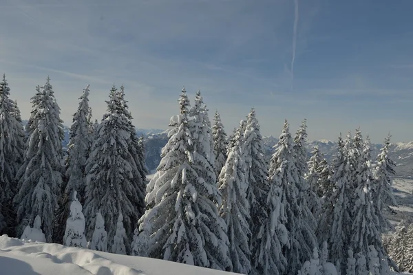 Mountain winter landscape — Stock Photo, Image