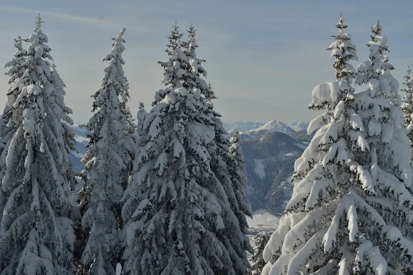 Winterlandschaft im Gebirge — Stockfoto