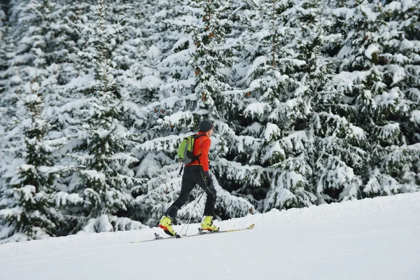 Winterpret en ski — Stockfoto