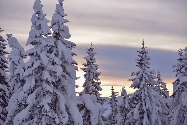 Winterlandschaft im Gebirge — Stockfoto