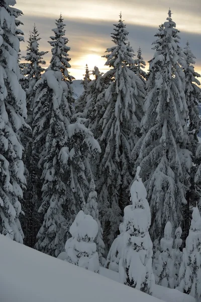 Winterlandschaft im Gebirge — Stockfoto