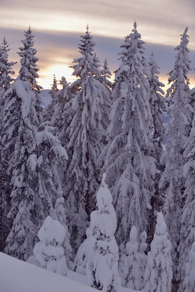 Paysage d'hiver montagne — Photo