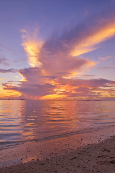 Spiaggia tropicale — Foto Stock