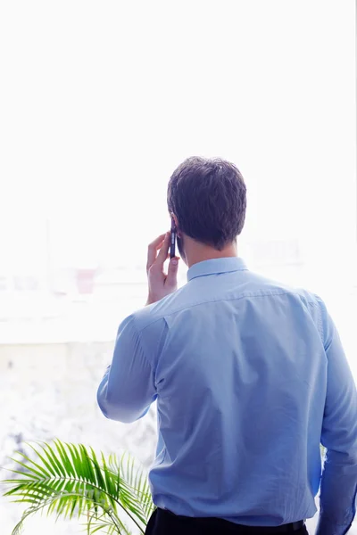 Üzletasszony beszélni telefonon — Stock Fotó