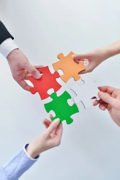 Gruppe von Unternehmen Montage Puzzle — Stockfoto