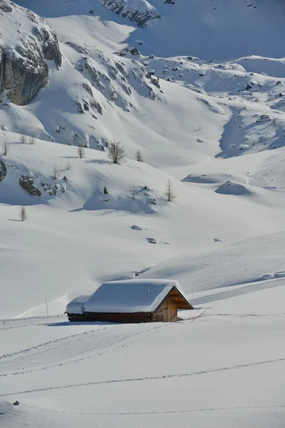 山の冬の自然 — ストック写真
