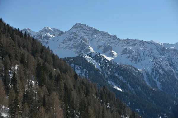 Krkonošské zimní — Stock fotografie