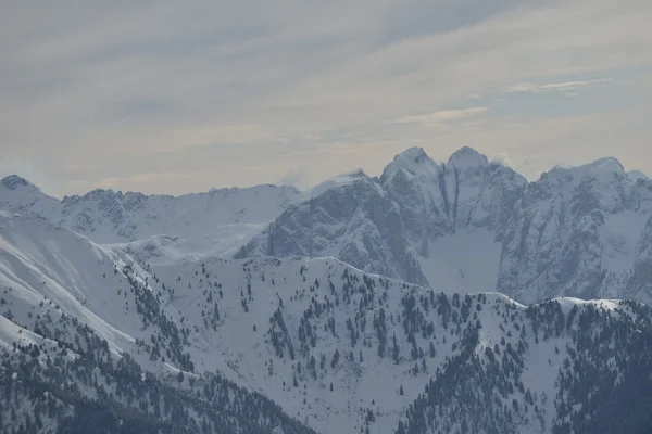 산 겨울 자연 — 스톡 사진