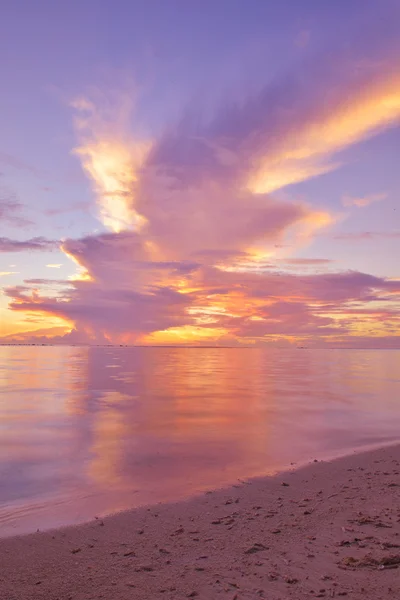 열 대의 해변 — 스톡 사진