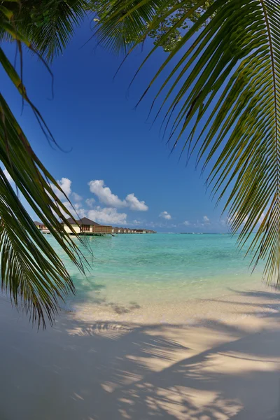 Tropical beach — Stock Photo, Image