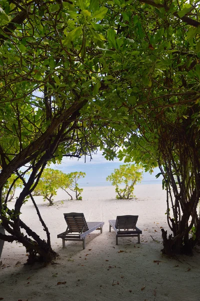 Tropical beach — Stock Photo, Image