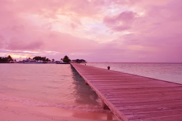 Tropischer Strand — Stockfoto