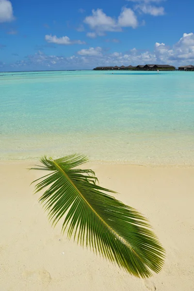 Playa tropical — Foto de Stock