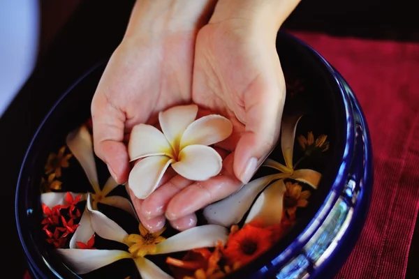 Mão feminina e flor na água — Fotografia de Stock