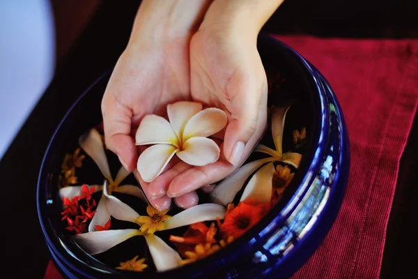 Mão feminina e flor na água — Fotografia de Stock