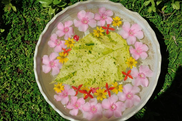 Vatten kopp med vackra blommor bakgrund — Stockfoto