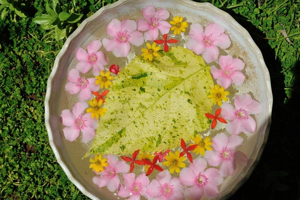 Tazza d'acqua con bellissimi fiori sfondo — Foto Stock