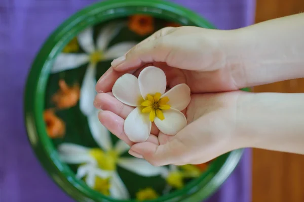 Female hand and flower in water — Stock Photo, Image