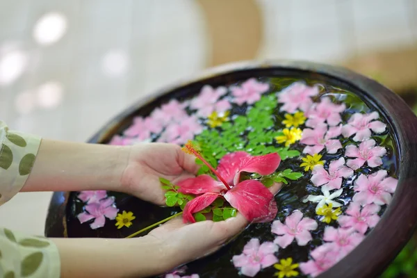 Mano femminile e fiore in acqua — Foto Stock