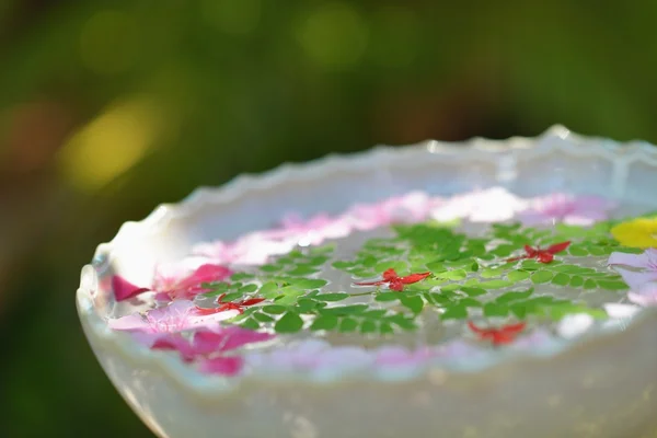 Tazza d'acqua con bellissimi fiori sfondo — Foto Stock