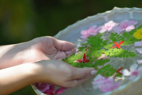 여성 손 및 물에 꽃 — 스톡 사진