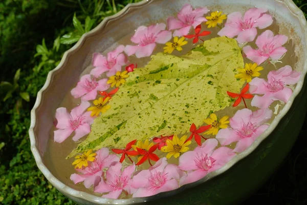 Tazza d'acqua con bellissimi fiori sfondo — Foto Stock