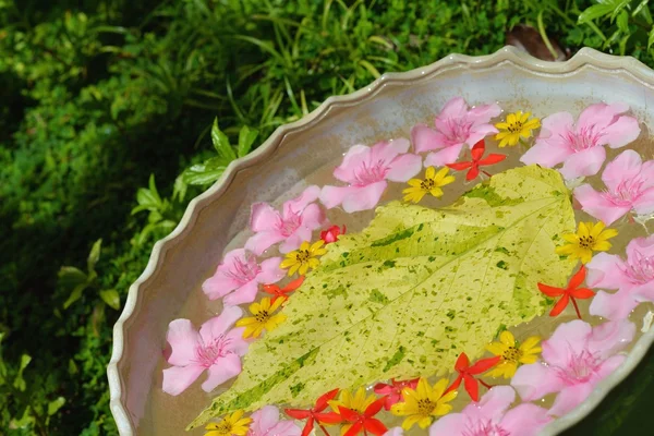 Tazza d'acqua con bellissimi fiori sfondo — Foto Stock