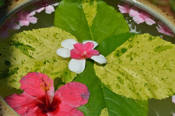 Чашка води з красивим квітковим фоном — стокове фото