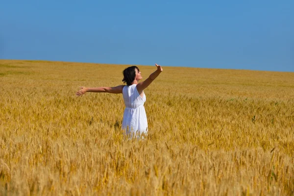 Mujer joven en el campo de trigo en verano — Foto de Stock