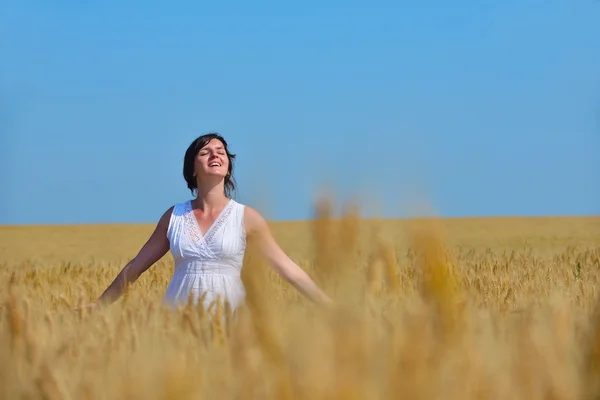 Mujer joven en el campo de trigo en verano — Foto de Stock