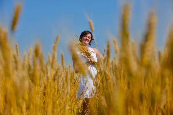 Young woman in wheat field at summer — Stock Photo, Image