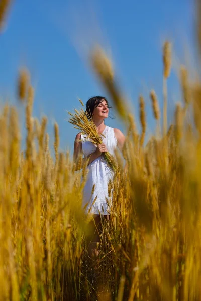 Young woman in wheat field at summer — Stock Photo, Image