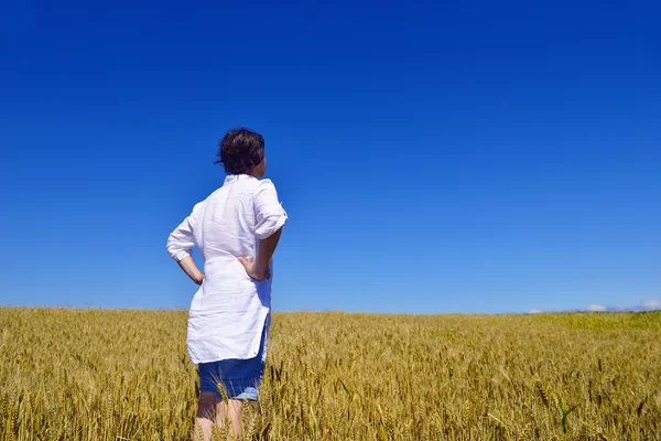 Mujer joven en el campo de trigo en verano —  Fotos de Stock